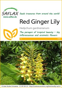 12983-hedychum-gardnerianum-seed-package-front-cr-english