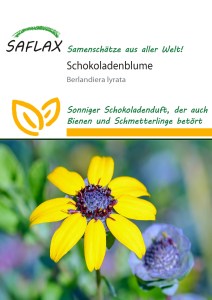 13270-berlandiera-lyrata-cokoladovy-kvet