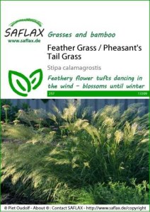 13309-stipa-calamagrostis-seed-package-front-cr-english