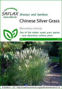 13310-miscanthus-sinensis-seed-package-front-cr-english