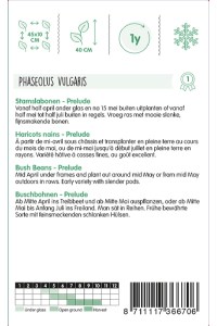 Semená fazula, krícková fazula, struková fazula, zelená fazula,