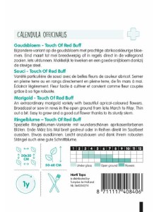 nechtík, semená nechtíku, marhulový nechtík