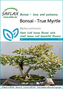 14314-myrtus-communis-seed-package-front-cr-english
