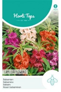 14375!560x560_500x500