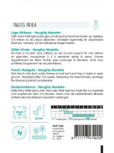 Tagetes Naughty Marietta