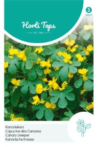 Kapucínka stahovavá, kanárska Tropaeolum peregrinum