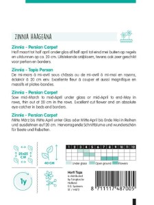 cinia kvety semena zeleniny kvetov bylinky sadit pestovat rajcin paprika uhoriek bazalka