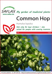 15207-humulus-lupulus-seed-package-front-cr-english