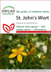 15208-hypericum-perforatum-seed-package-front-cr-english