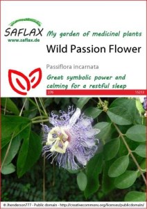 15213-passiflora-incarnata-seed-package-front-cr-english