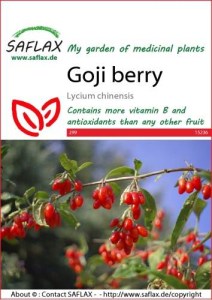 15236-lycium-chinensis-seed-package-front-cr-english