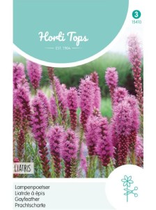 semená kvetov, liatris spicata, semená liatris, fialové kvety, kvety k rezu,