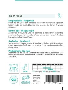 semená kvetov, liatris spicata, semená liatris, fialové kvety, kvety k rezu,