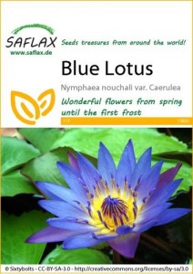 15802-nymphaea-nouchali-seed-package-front-cr-english