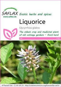 17505-glycyrrhiza-glabra-seed-package-front-cr-english