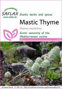 17512-thymus-mastichina-seed-package-front-cr-english