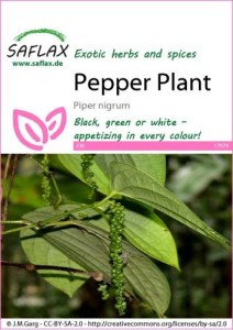 17974-piper-nigrum-seed-package-front-cr-english