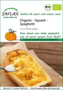 18528-cucurbita-pepo-seed-package-front-cr-english