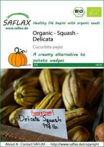 18529-cucurbita-pepo-seed-package-front-cr-english