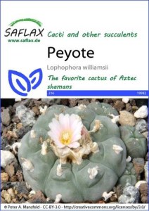 19982-lophophora-williamsii-seed-package-front-cr-english