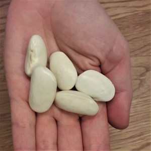 fazula corona o spagna bianco.jpg