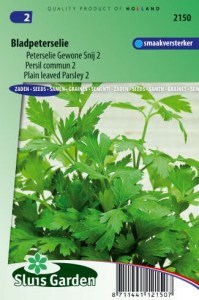 semena vnatovy petrzlen,