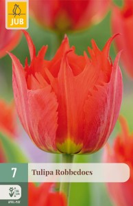 cibuľky tulipánov Robbedoes
