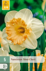 305649_narcis_mon_cheri