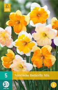 narcisy, narcis, butterfly mix, cibuloviny, kvety, 