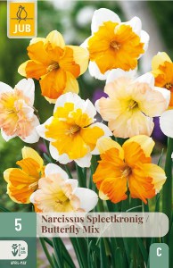 narcisy, narcis, butterfly mix, cibuloviny, kvety, 