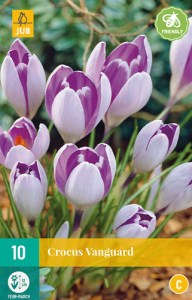 fialkový krokus, krokusy, krokusky, krokus, šafrán, cibuloviny,