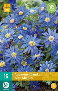 Cibuloviny, Veternica, Anemone blanda Blue Shades