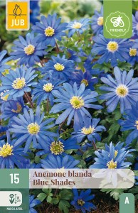 Cibuloviny, Veternica, Anemone blanda Blue Shades