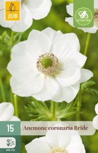 308649-anemone-bride