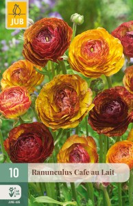 311519-iskernik-cafe-au-lait