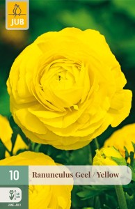 311530_iskerni_zlty