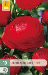 311620-iskernik-red