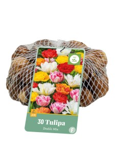 320140-tulipan-double-mix