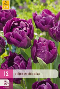 322394-tulipan-double-lilac-mix