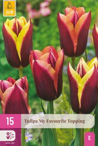 cibuloviny, tulipan, cibule kvetov, cibulky kvetov, cibulky tulipanov