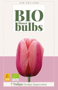325116-tulipan-design-impression
