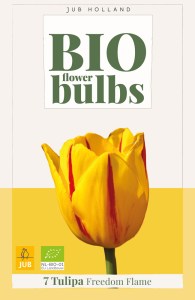 325123-tulipan-freedom-flame