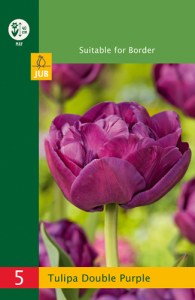 modry hyacint, kvetove cibulky, cibuloviny, kvety, cibule hyacintov