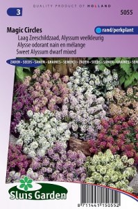 semena kvetov, semena lobularia, fialova lobularia, alyssum, alysum, semena letniciek, 