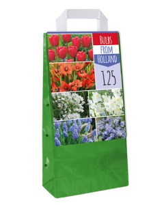 kvety pre vcely, zmes cibulovín, jarné kvety, cibuloviny, 