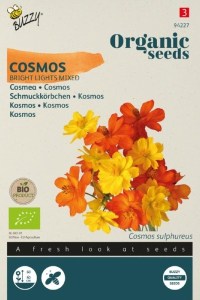 Krasula, Kosmos, Cosmos sulphureus, Bright Lights Mixed,