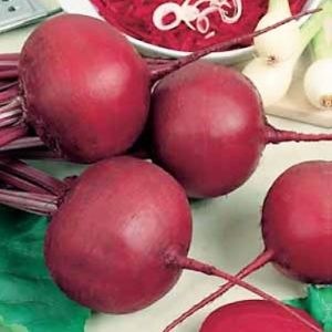 Red-Beet-Detroit-Nr.-2-300x300