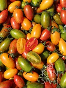 rajčina, paradajka Artisan Tiger Mix