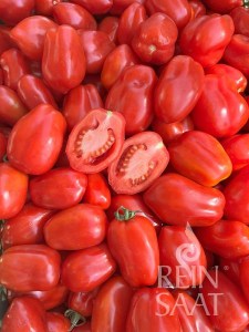 rajčina, paradajka San marzano nano