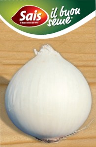 sladká cibula, biela sladká cibula, biela cibula, semena sladkej cibule, lahôdková cibula, semená cibule,